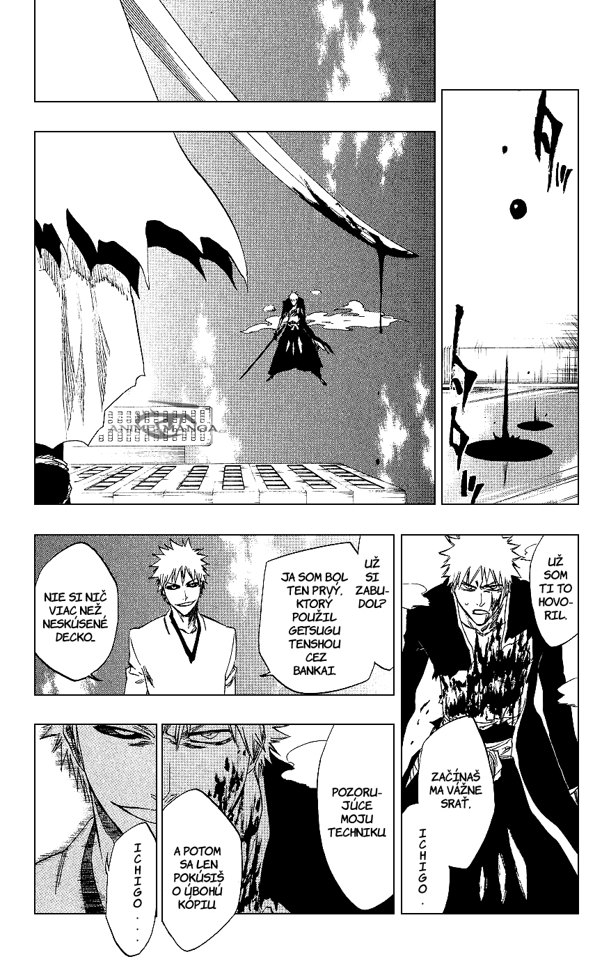 Bleach 219 15 kopie.jpg